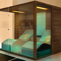  Kombinierte Sauna mit ergonomischen Relaxliegen Wien