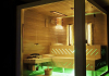 Glas Sauna mit Infrarot Burgenland